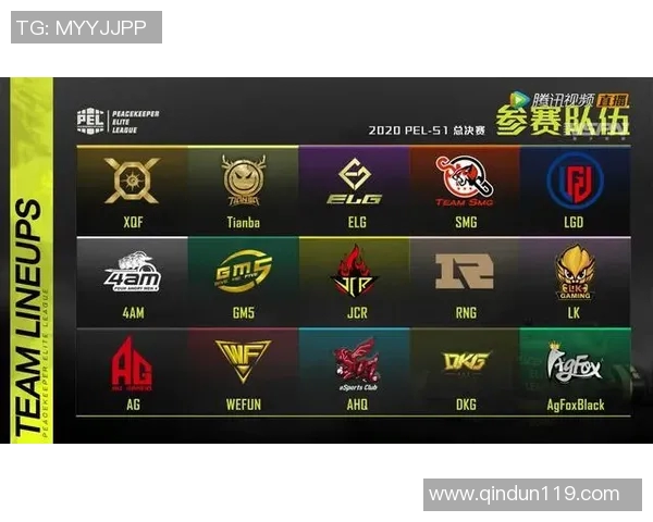 esports数据S15LOL赛事中和平精英IG团队协作的精彩瞬间与战术分析